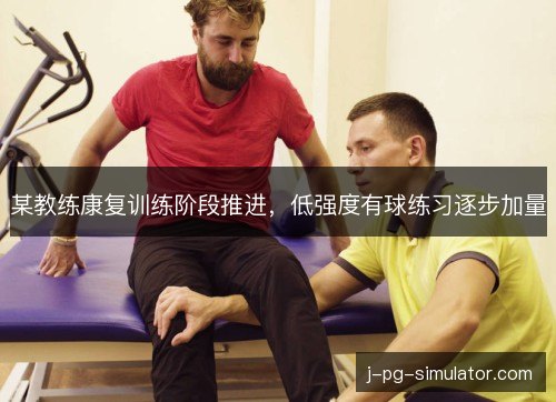某教练康复训练阶段推进,低强度有球练习逐步加量 某教练康复训练阶段推进,低强度有球练习逐步加量